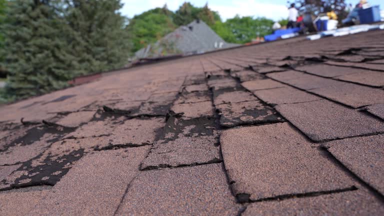 Best Slate Roofing  in Frankfort, OH